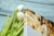 canvas-prints-with-gallery-wrapping-onto-stretcher-bar-edge-corner-photo-printed-canvas.jpg